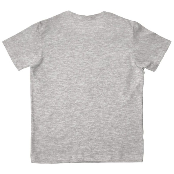 Футболка "Двуглавый орел", меланж